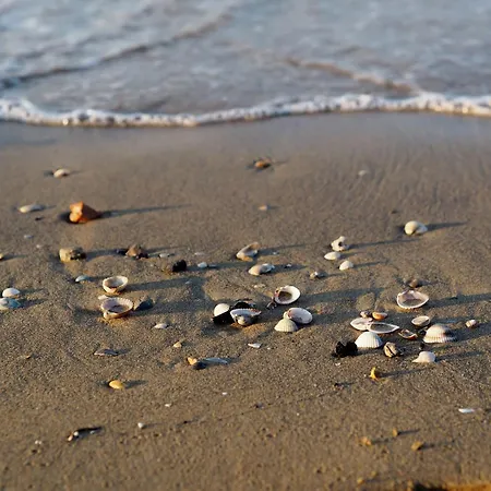 公寓 Marine Escape - Seaside Tranquility