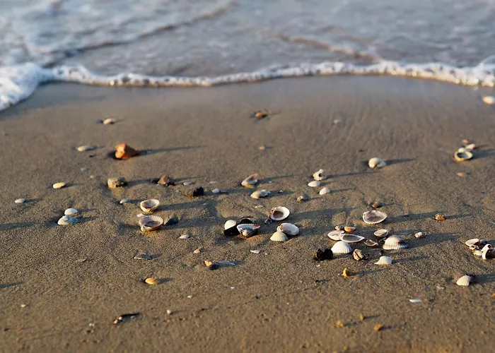 Appartamento Marine Escape - Seaside Tranquility